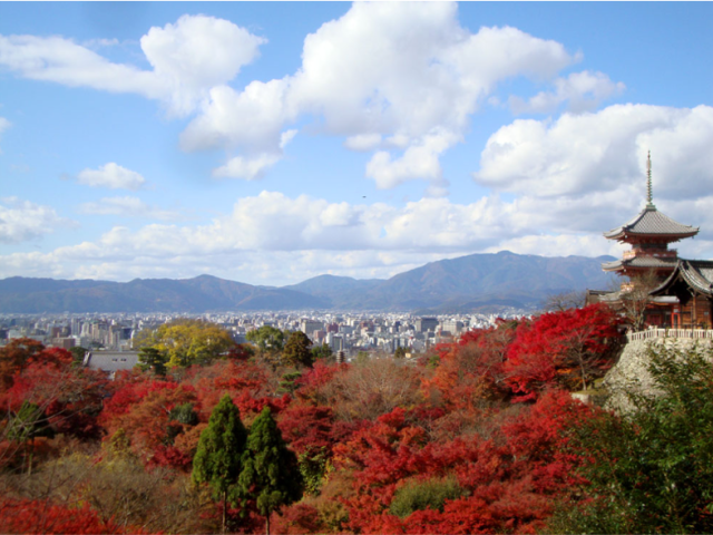 京都府の不動産を購入・売却したい