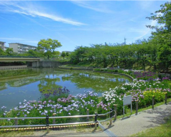 堺市東区の不動産を購入・売却したい